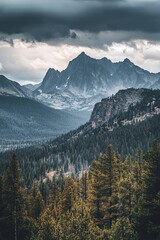 Obraz premium The peaks along Red Mountain Pass in Colorado are shrouded in mist
