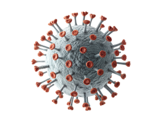 Model of a virus structure in a digital format