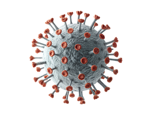 Model of a virus structure in a digital format