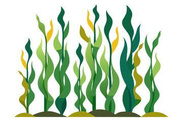 Tall Kelp Forest with Long Leaves. Intricate Vector Art