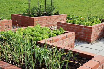  A modern vegetable garden with raised bricks beds. Raised beds gardening in an urban garden growing plants and vegetables.