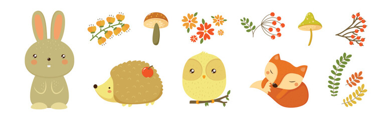 Autumn Forest and Woodland Object and Element Vector Set