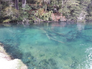 Lago Machonico Espejo Grande Chico San Martin de los Andes Patagonia Argentina 7 Siete Lagos Rio Hermoso Villa La Angostura Ruca Malen