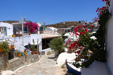 Small seaside fishing village of Faros with crystal clear beaches and traditional Cycladic...
