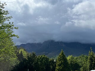 clouds over the forest