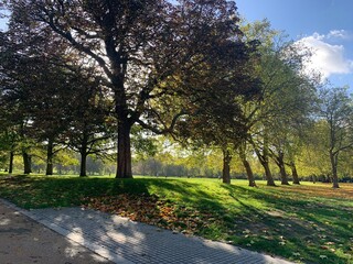 Greenwich Park, London, UK