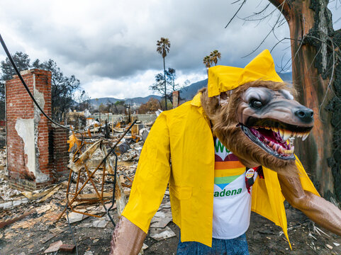 Wolf mascot wearing a yellow raincoat stands beside an "Altadena Not For Sale!" sign amid Eaton Fire destruction in Altadena, California, highlighting community resilience after wildfire