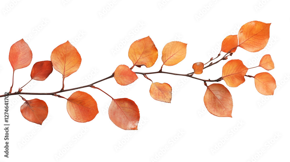 Aufkleber horizontal twig with orange autumn leaves isolated on transparent background, ideal for fall composi