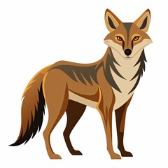 Obraz premium Coyote standing confidently on a white background