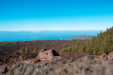 Anblick in Teide Nationalpark auf Teneriffa