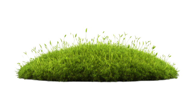 Oval patch of vibrant green grass with transparent background, perfect for architectural visualization or landscape design