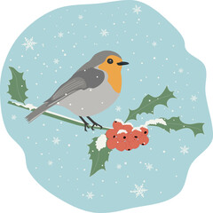 Robin bird perched on holly with red berries, falling snow at winter time