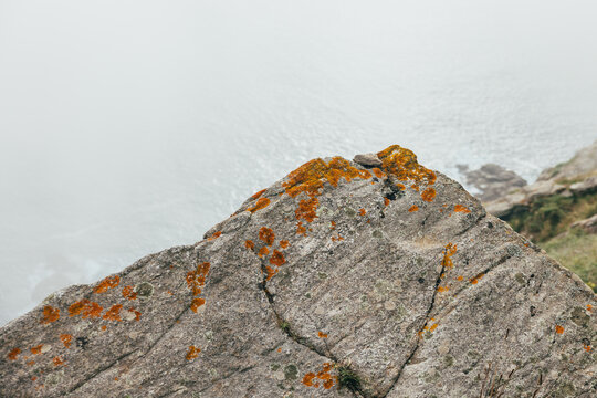 Rocky cliffside with orange moss overlooking a misty ocean view