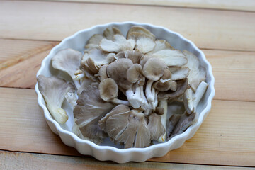 Oyster mushroom or lung oyster