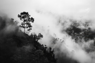 Majestic fog envelops a mountain landscape with silhouetted trees during a tranquil morning in a remote valley