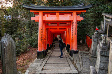 shinto shrine arches in Fushimi Inari in Japan 