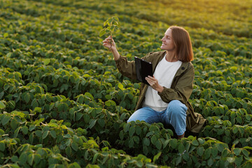 Smart farming soybean technology. Smiling female farmer with digital tablet uses for examine and...