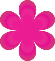 pink flower isolated on white