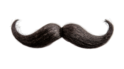 Vintage handlebar mustache with dramatic upward curve, showcasing classic masculine grooming style against transparent backdrop