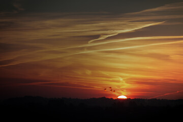 Dramatic Sunset with Birds in Flight......
