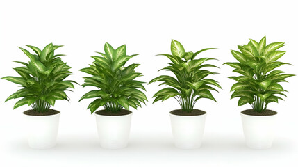 Obraz premium Four potted plants, realistic rendering, simple white pots, home decor, use for design inspiration, or as a stock image