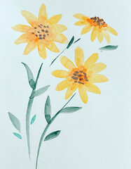 flowers on a white background