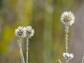 Fretin, February 2025: Hiking in the Fretin marshes, surrounded by trees and nature
