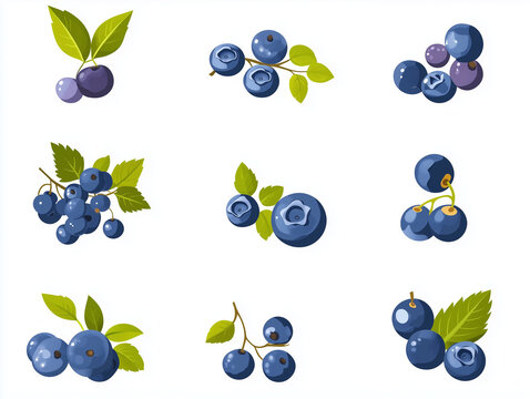Ic&ocirc;nes de myrtilles en flat design sur fond blanc