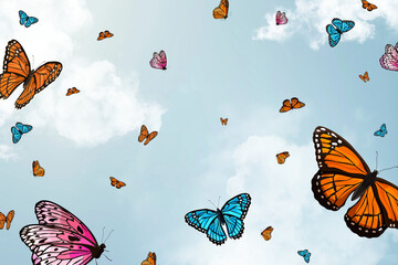 Colorful sky butterfly illustration background © Rawpixel.com