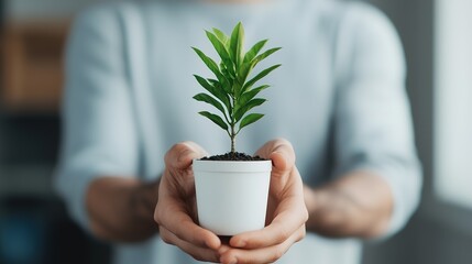 Eco-friendly innovations by entrepreneurs at somneuk planting ideas for a greener future in business environment