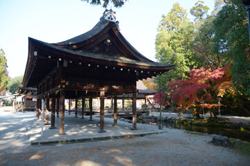 Obraz premium 上賀茂神社 土屋と紅葉 京都市北区