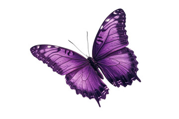 A vibrant purple butterfly gracefully resting, showcasing nature's beauty in exquisite detail isolated on transparent background