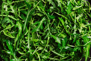 Fresh arugula leaves close-up.