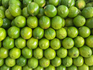 Vibrant image of fresh Tahiti limes with a glossy, deep green peel. Perfect for healthy eating campaigns, recipes, supermarkets, and nutrition-related content.