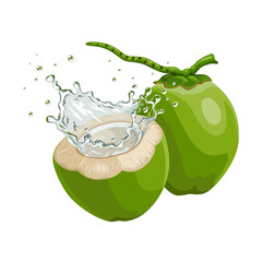 Illustration of fresh green coconut with splashes of coconut water, isolated on white background.