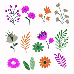 Collection of flowers. abstract flower background. on white background, Vector illustration botanical design and creative idea.
