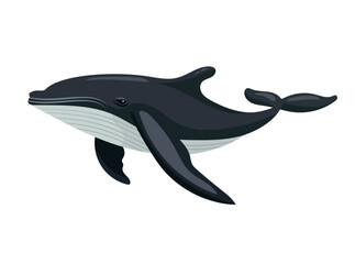 Fototapeta premium Cute whale. Vector clipart illustration on isolated background.