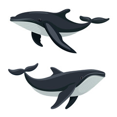 Cute whale. Vector clipart illustration on isolated background.
