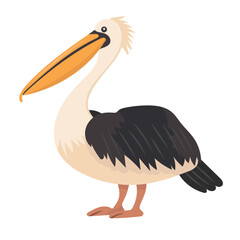 Pelican bird. Vector clipart illustration on isolated background.