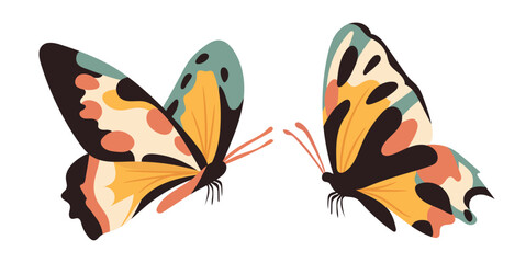 Butterfly. Vector clipart illustration on isolated background.