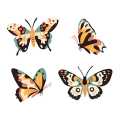 Butterfly. Vector clipart illustration on isolated background.
