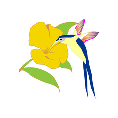 colibri alimentandose del nectar de una flor.eps