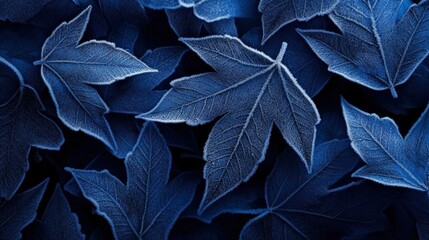 Obraz premium A stunning collection of dark blue leaves creating a dramatic and textured background