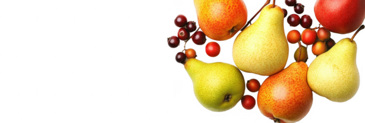 Charming overhead arrangement of colorful isolated fruits on a transparent background providing ample copy space for creative designs and presentations