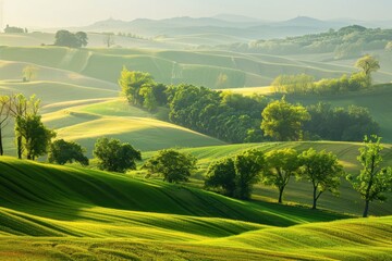 Obraz premium Lush green hills bathed in soft morning light create a serene landscape in rolling countryside during springtime