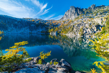 Larches Turning Golden In Late Summer