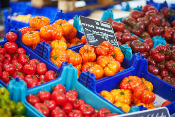 Fresh healthy bio fruits and vegetables on farmer agricultural market in France.