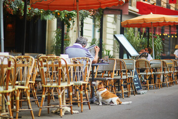 Man with his dog in an outdoors cafe in Paris, France.