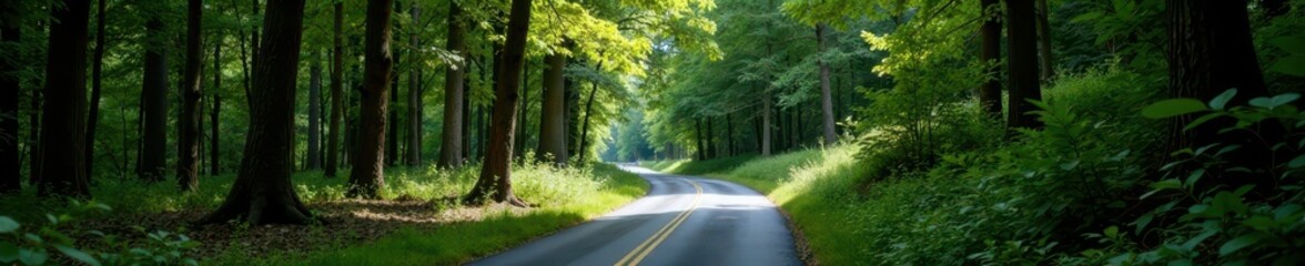 Fototapeta premium Serpentine road through dense deciduous forest, solitude, landscape