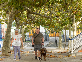 Blind man strolling with guide dog in tree lined urban park